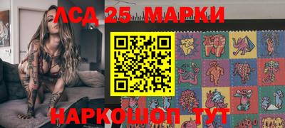 дживик Кандалакша