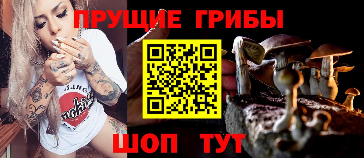 Псилоцибиновые грибы ЛСД  цены   Котельники  Вход с VPN 