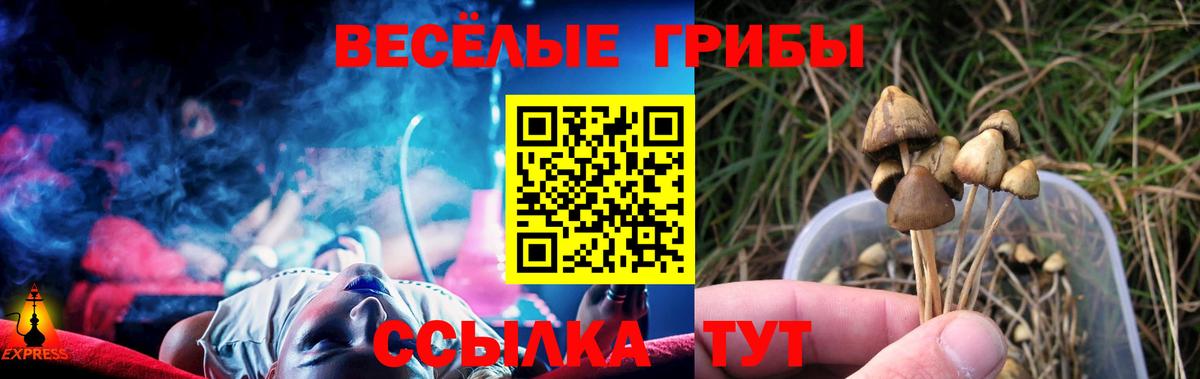 Псилоцибиновые грибы GOLDEN TEACHER Котельники